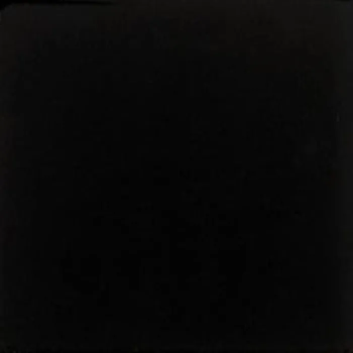 Evolution Negro Brillo 15x15